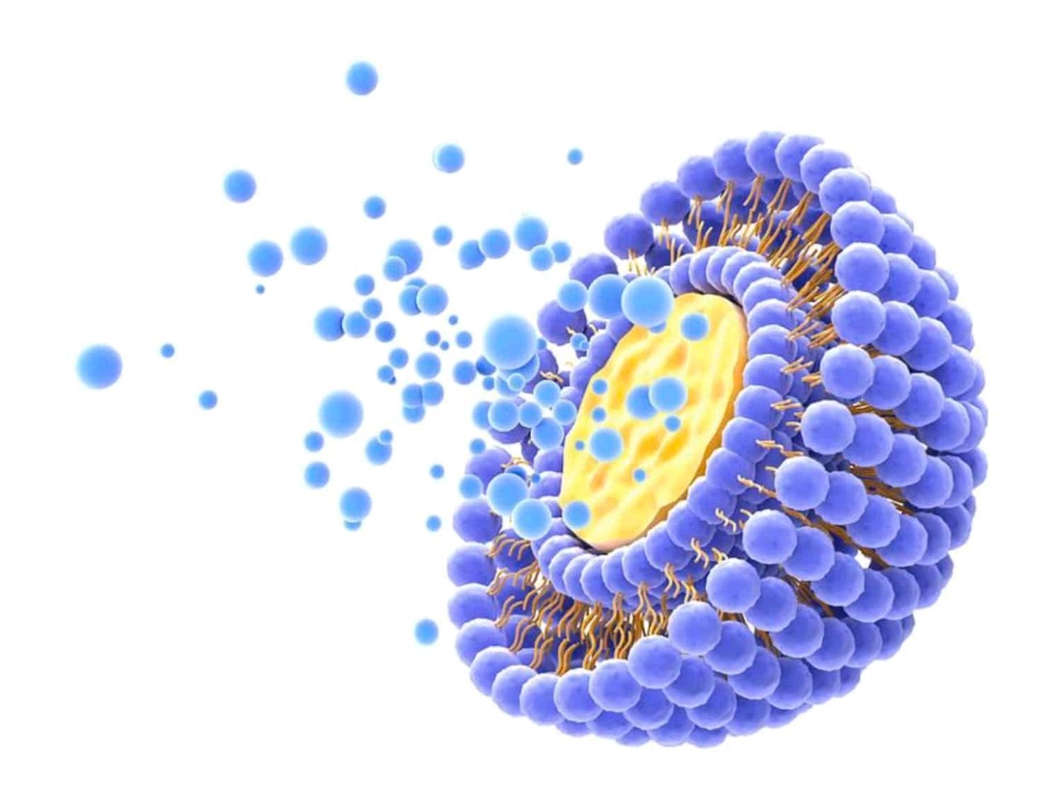 Green Wise Bio — Lipozomal biyoteknoloji